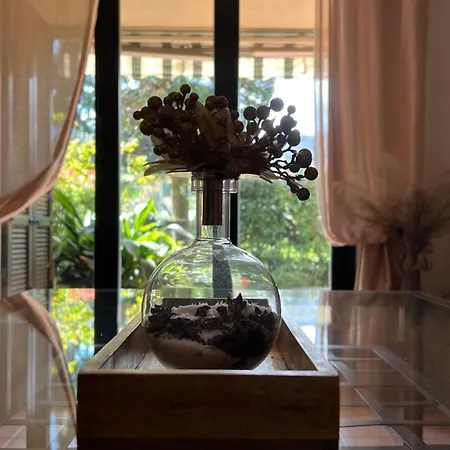 Casa Mimosa *